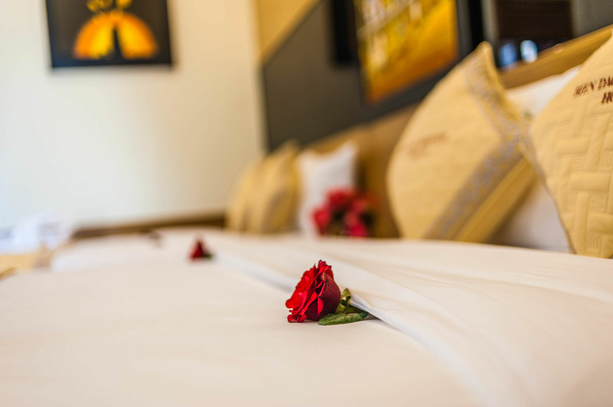 Bien Dao Homestay Хоян Екстер'єр фото